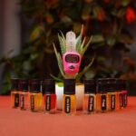 10 Pieces Attar Combo - Image 2